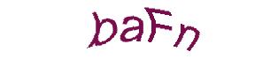 عبارت امنیتی