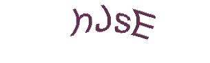 عبارت امنیتی