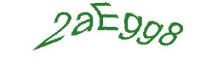 عبارت امنیتی