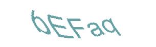 عبارت امنیتی