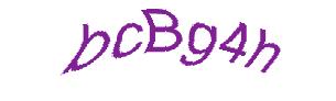 عبارت امنیتی