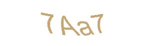 عبارت امنیتی