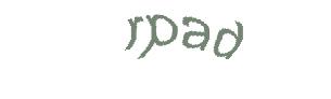 عبارت امنیتی