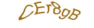 عبارت امنیتی