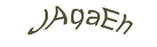 عبارت امنیتی