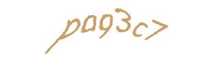 عبارت امنیتی
