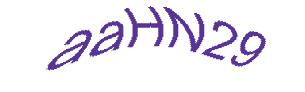 عبارت امنیتی