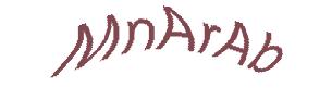 عبارت امنیتی