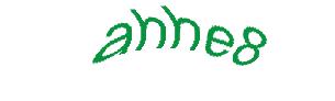 عبارت امنیتی