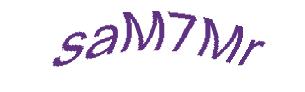 عبارت امنیتی