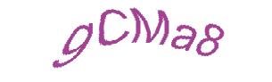 عبارت امنیتی