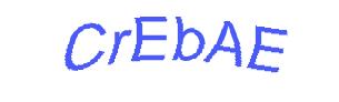 عبارت امنیتی
