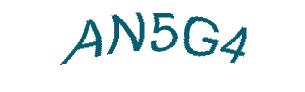 عبارت امنیتی