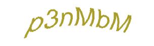 عبارت امنیتی