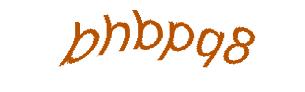 عبارت امنیتی