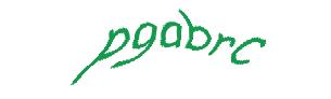 عبارت امنیتی