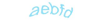 عبارت امنیتی
