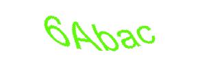 عبارت امنیتی