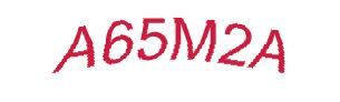 عبارت امنیتی