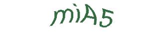 عبارت امنیتی