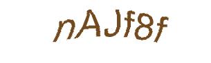 عبارت امنیتی