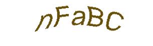 عبارت امنیتی