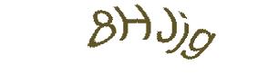 عبارت امنیتی