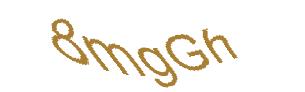 عبارت امنیتی