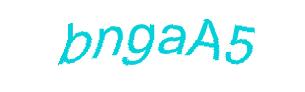عبارت امنیتی