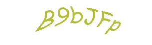 عبارت امنیتی
