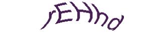 عبارت امنیتی