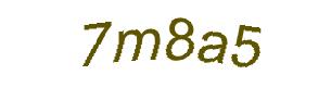 عبارت امنیتی
