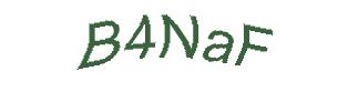 عبارت امنیتی