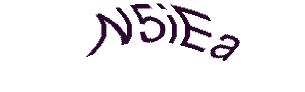 عبارت امنیتی