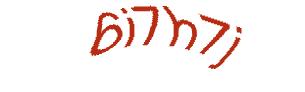 عبارت امنیتی