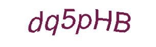 عبارت امنیتی