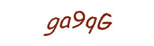 عبارت امنیتی