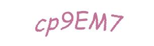عبارت امنیتی