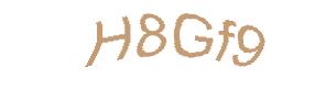 عبارت امنیتی