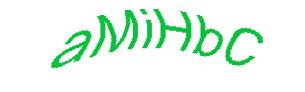 عبارت امنیتی