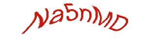 عبارت امنیتی