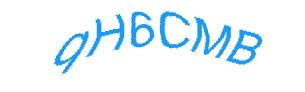عبارت امنیتی