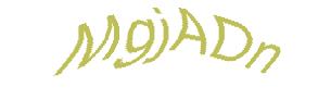 عبارت امنیتی