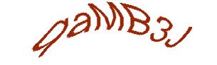 عبارت امنیتی