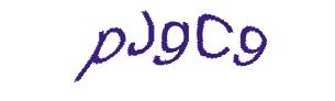 عبارت امنیتی