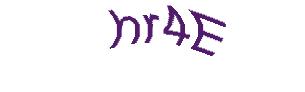 عبارت امنیتی