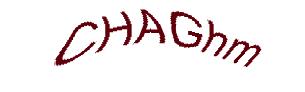 عبارت امنیتی