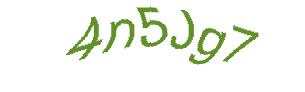 عبارت امنیتی