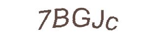 عبارت امنیتی