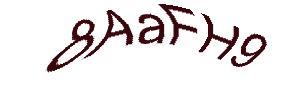 عبارت امنیتی